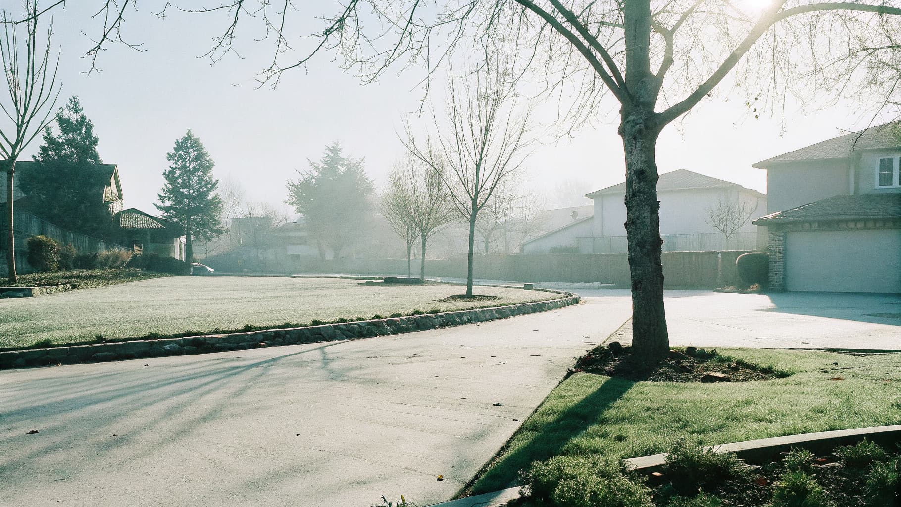 Beautiful green California suburban yard maintained by Alan d Yard Services