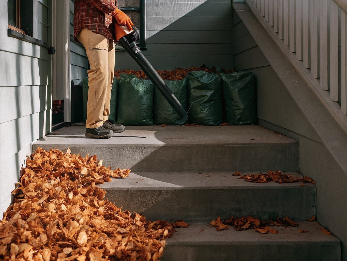 Professional yard cleanup and leaf blowing service